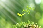 الفضل والعطاء طريق لاستمرار النعمة