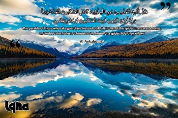 Həyati ayələr: Hörümçək toru kimi