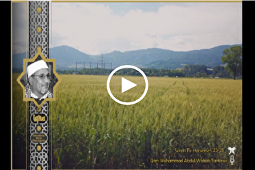 Cənnət nəğmələri