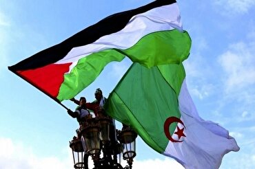 Algeria to Keep Supporting Palestine, President Tebboune Says