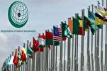 OIC Slams US Veto of UN Security Council’s Resolution on Gaza