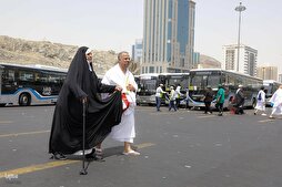 Iranian Health Official Lists Medical Risks That Disqualify Pilgrims from Hajj