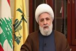 Resistance Not A Temporary Tactic for Hezbollah: Sheikh Qassem