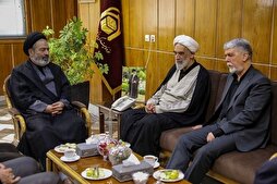 Official Hails Safe Return of Iranian Hajj Pilgrims in Wartime