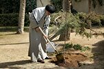 Protección del medio ambiente: el Ayatolá Jamenei pide compromiso público para plantar árboles