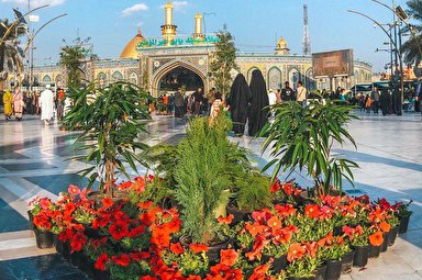 فیلم/ جشن میلاد حضرت زهرا(س) در کربلا