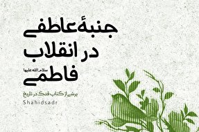 طرح | جنبه‌ عاطفی در انقلاب فاطمی