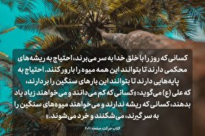 فتوتیتر | لزوم ریشه‌های محکم برای ثمردهی