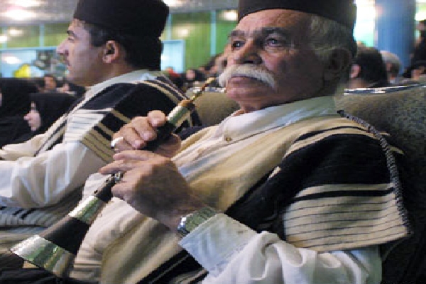 علی اکبر مهدی پور دهکردی، سرنانواز