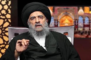 آیت‌الله‌العظمی مدرسی خواستار رفع موانع زیارت اربعین شد