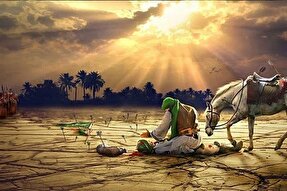 ویدئوکست | تنها ایرانی‌ که در کربلا شهید شد