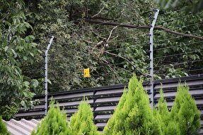 سامانه حفاظت الکتریکی با دانش بومی در تبریز