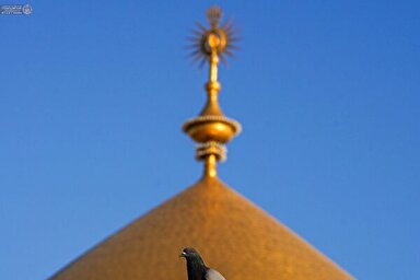 استوری‌موشن | لافتی الا علی