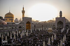 اجتماع «احلی من العسل» در حرم مطهر رضوی برگزار می‌شود