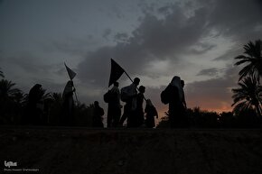 نماهنگ | وحدت، برادری و عشق در مسیر حسین(ع)