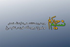 فیلم | وجود لکه خون در تخم مرغ