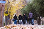 آخرین روز‌های پاییز در دانشگاه اصفهان