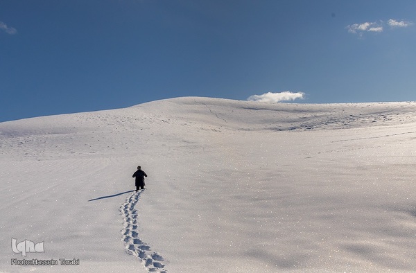طبیعت برفی استان چهارمحال و بختیاری