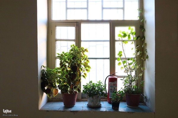 وقفی به بزرگی یک مادر