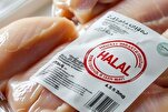 Россия надеется увеличить экспорт за счет разработки сертификата халяль